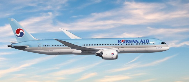 세계를 날아다니는 한국의 글로벌 역사, 대한항공